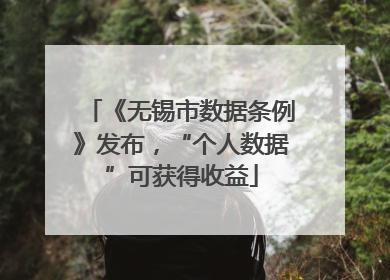 《无锡市数据条例》发布，“个人数据”可获得收益