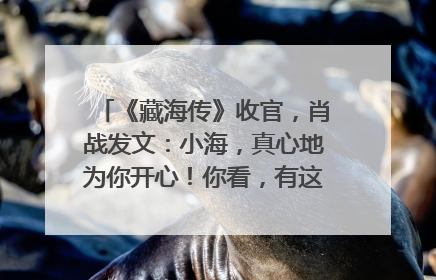 《藏海传》收官，肖战发文：小海，真心地为你开心！你看，有这么多人懂你！
