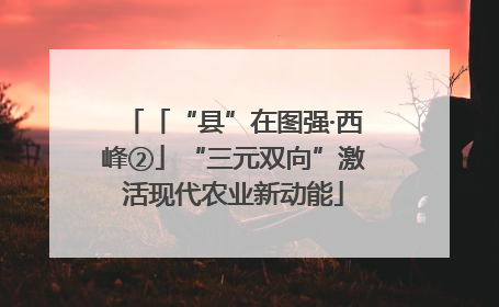 「“县”在图强·西峰②」“三元双向”激活现代农业新动能