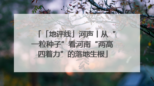 「地评线」河声丨从“一粒种子”看河南“两高四着力”的落地生根