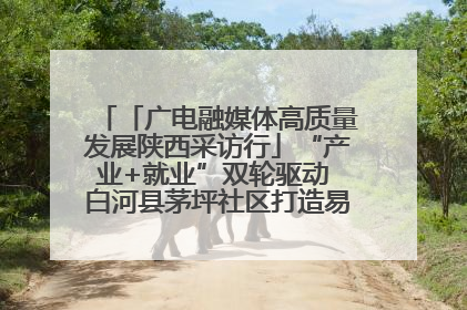 「广电融媒体高质量发展陕西采访行」“产业+就业”双轮驱动 白河县茅坪社区打造易地搬迁后扶新样本