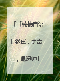 「楠楠自语」彩蛋，手雷，邋遢帅