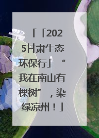 「2025甘肃生态环保行」“我在南山有棵树”，染绿凉州！
