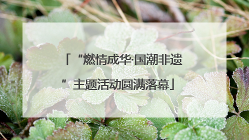 “燃情成华·国潮非遗”主题活动圆满落幕