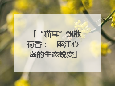 “猫耳”飘散荷香：一座江心岛的生态蜕变