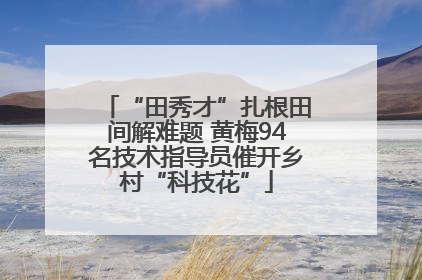 “田秀才”扎根田间解难题 黄梅94名技术指导员催开乡村“科技花”