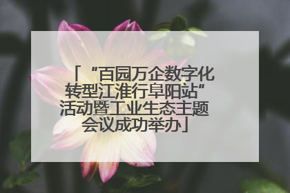 “百园万企数字化转型江淮行阜阳站”活动暨工业生态主题会议成功举办