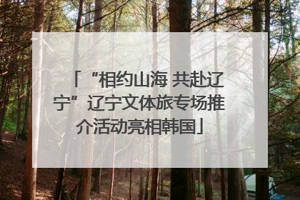 “相约山海 共赴辽宁”辽宁文体旅专场推介活动亮相韩国
