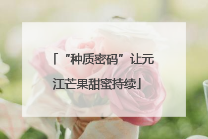 “种质密码”让元江芒果甜蜜持续