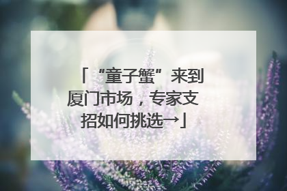 “童子蟹”来到厦门市场，专家支招如何挑选→