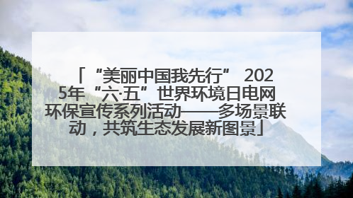 “美丽中国我先行” 2025年“六·五”世界环境日电网环保宣传系列活动——多场景联动，共筑生态发展新图景