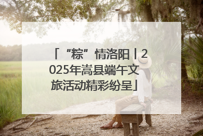“粽”情洛阳丨2025年嵩县端午文旅活动精彩纷呈