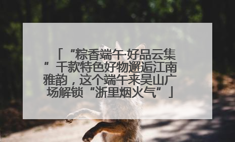 “粽香端午·好品云集”千款特色好物邂逅江南雅韵，这个端午来吴山广场解锁“浙里烟火气”