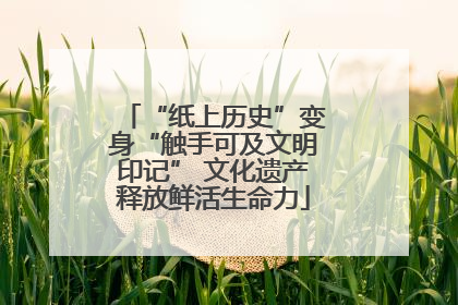 “纸上历史”变身“触手可及文明印记” 文化遗产释放鲜活生命力