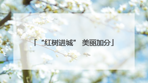 “红树进城” 美丽加分