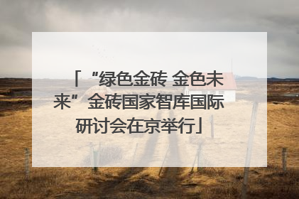 “绿色金砖 金色未来”金砖国家智库国际研讨会在京举行
