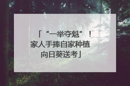 “一举夺魁”！家人手捧自家种植向日葵送考