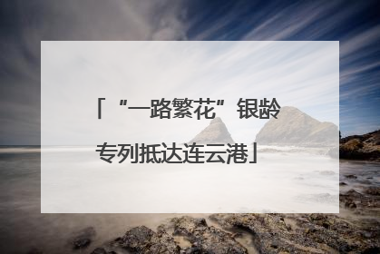 “一路繁花”银龄专列抵达连云港