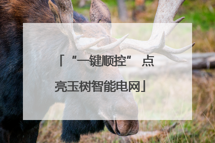 “一键顺控” 点亮玉树智能电网