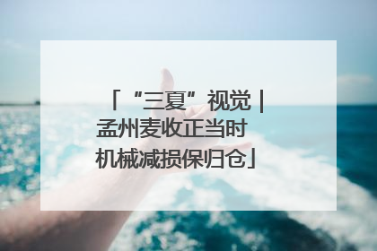 “三夏”视觉｜孟州麦收正当时 机械减损保归仓