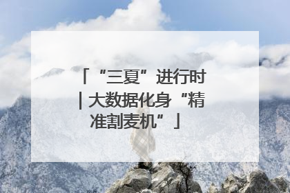 “三夏”进行时｜大数据化身“精准割麦机”