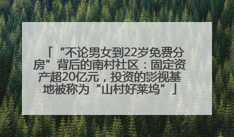 “不论男女到22岁免费分房”背后的南村社区：固定资产超20亿元，投资的影视基地被称为“山村好莱坞”