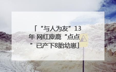 “与人为友”13年 网红麋鹿“点点”已产下8胎幼崽
