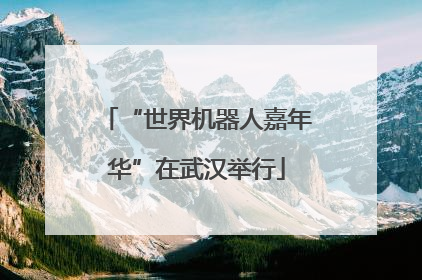 “世界机器人嘉年华”在武汉举行