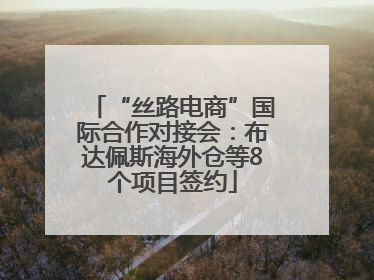 “丝路电商”国际合作对接会：布达佩斯海外仓等8个项目签约
