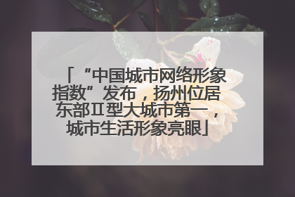 “中国城市网络形象指数”发布，扬州位居东部Ⅱ型大城市第一，城市生活形象亮眼