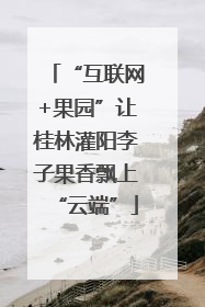 “互联网+果园”让桂林灌阳李子果香飘上“云端”