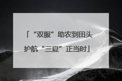 “双服”助农到田头 护航“三夏”正当时