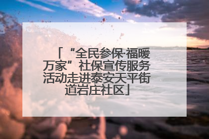 “全民参保·福暖万家”社保宣传服务活动走进泰安天平街道岩庄社区