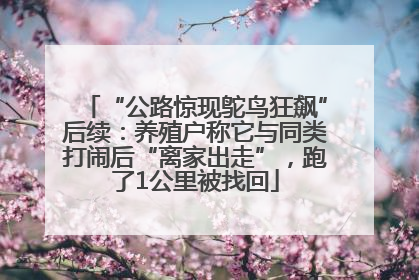 “公路惊现鸵鸟狂飙”后续：养殖户称它与同类打闹后“离家出走”，跑了1公里被找回