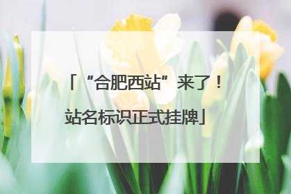“合肥西站”来了！站名标识正式挂牌