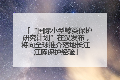 “国际小型鲸类保护研究计划”在汉发布，将向全球推介落地长江江豚保护经验