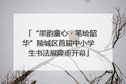 “墨韵童心・笔绘韶华”陵城区首届中小学生书法展隆重开幕