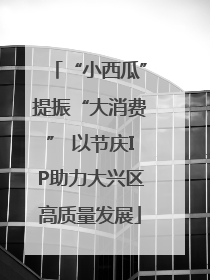 “小西瓜”提振“大消费” 以节庆IP助力大兴区高质量发展