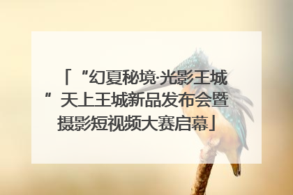 “幻夏秘境·光影王城”天上王城新品发布会暨摄影短视频大赛启幕