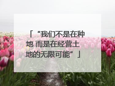 “我们不是在种地 而是在经营土地的无限可能”