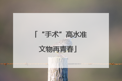 “手术”高水准 文物再青春