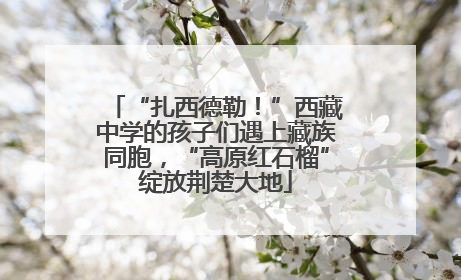 “扎西德勒！”西藏中学的孩子们遇上藏族同胞，“高原红石榴”绽放荆楚大地