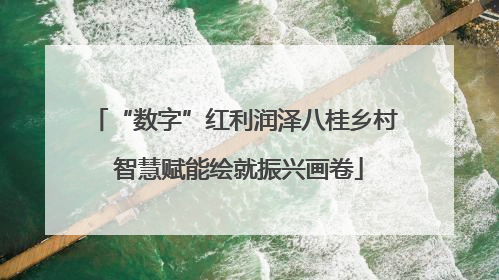 “数字”红利润泽八桂乡村 智慧赋能绘就振兴画卷