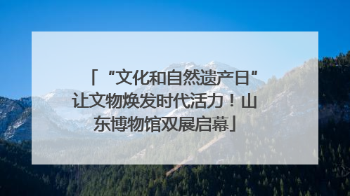 “文化和自然遗产日”让文物焕发时代活力！山东博物馆双展启幕