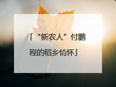 “新农人”付鹏程的稻乡情怀