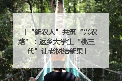 “新农人”共筑“兴农路”：返乡大学生“桃三代”让老树结新果