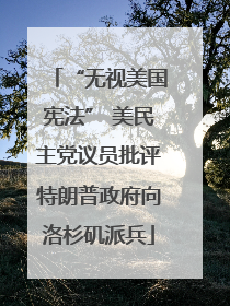 “无视美国宪法” 美民主党议员批评特朗普政府向洛杉矶派兵