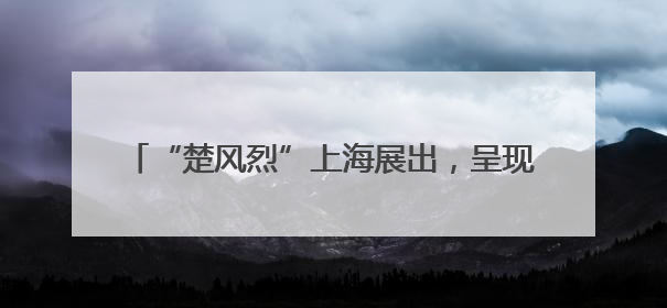 “楚风烈”上海展出，呈现最大楚墓追回的精品文物