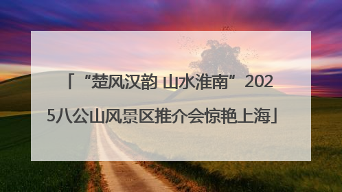 “楚风汉韵 山水淮南”2025八公山风景区推介会惊艳上海