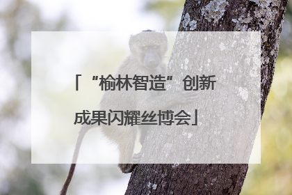 “榆林智造”创新成果闪耀丝博会